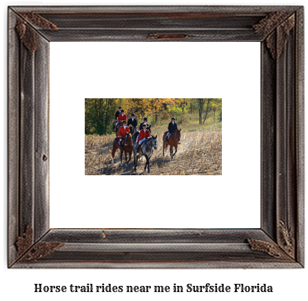 horse trail rides near me in Surfside, Florida